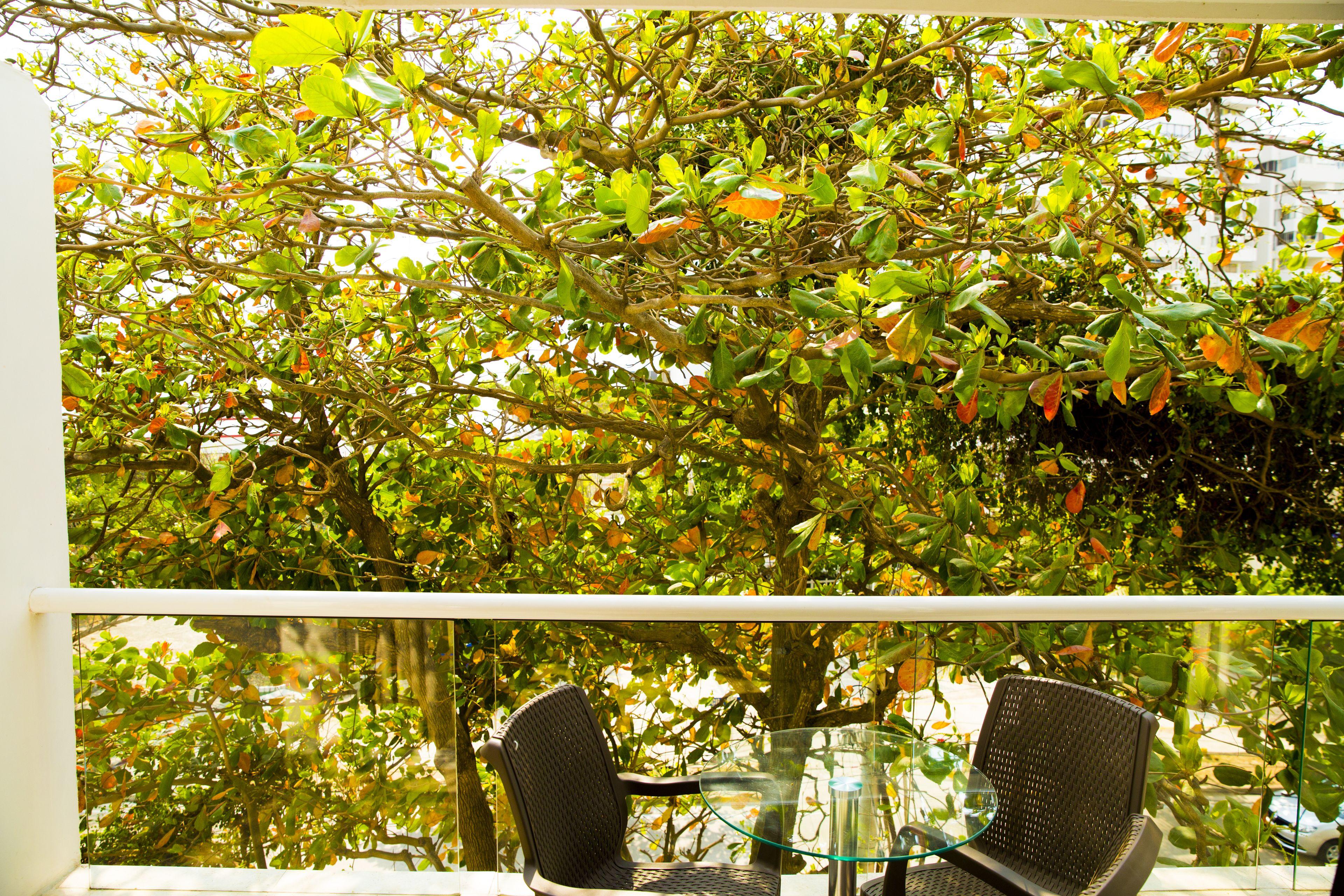 Hollywood Apartahotel 3*